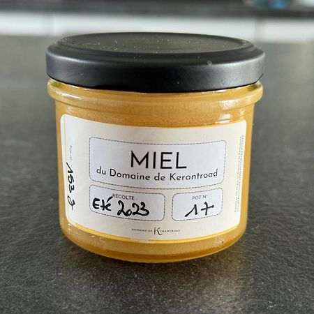 Willa Domaine De Kerantroad Plonévez-Porzay Zewnętrze zdjęcie