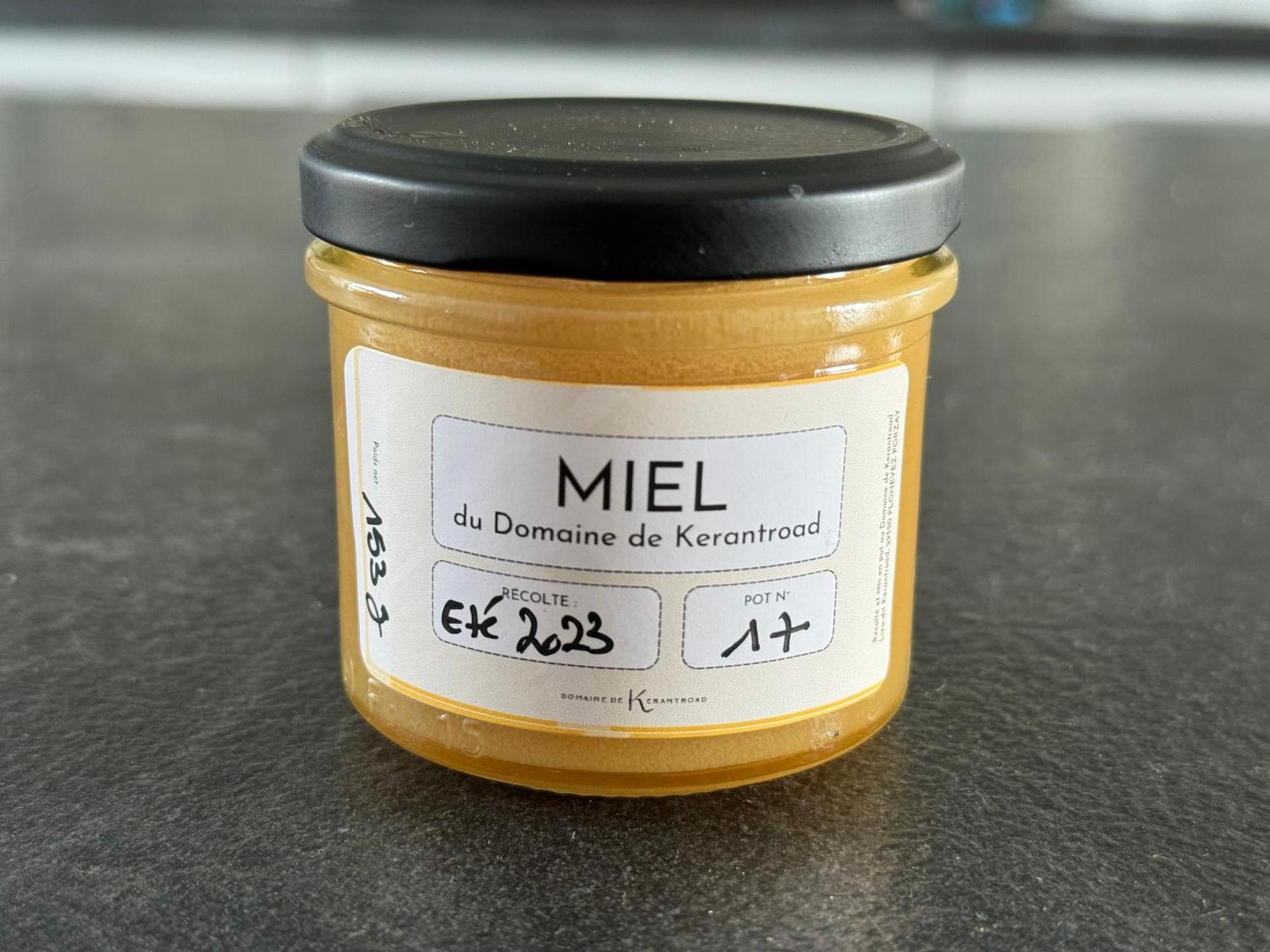 Willa Domaine De Kerantroad Plonévez-Porzay Zewnętrze zdjęcie
